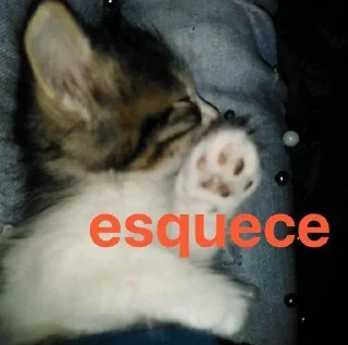 😾 emoji Sien Core Telegram sticker 6 of 77