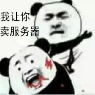 全球服务器租用联系 @TGIDC8