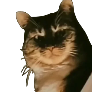 😠 emoji Otakus remasterizados Telegram sticker 6 of 114
