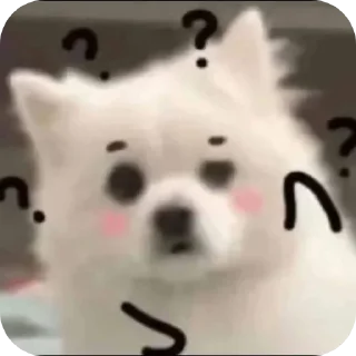 🐶 emoji Sandy 2 xd Telegram sticker 10 of 26