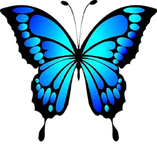 🦋 emoji Simplesmente LUNNA Oficial 2🌙👩‍🦰 Telegram sticker 8 of 120