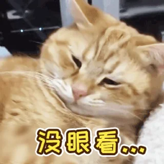 🔁 @GM9600  深圳👉5米上课., стікер Telegram 22 з 39