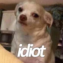 🙄 emoji idk Telegram sticker 24 of 99