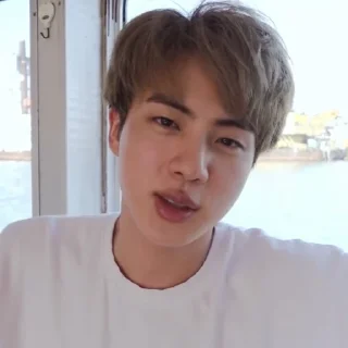 🖇 emoji Jin bts by @stickernct Telegram sticker 12 of 46