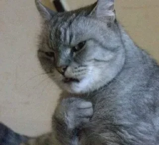 😟 emoji Cool Cat 2.0 Telegram sticker 10 of 15