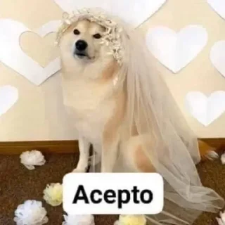 👰 emoji El pack de tu abuela Telegram sticker 12 of 120