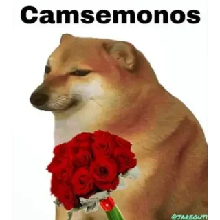 🌹 emoji El pack de tu abuela Telegram sticker 16 of 120