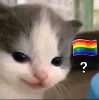 🏳‍🌈 emoji Mauri Steal Pack Telegram sticker 20 of 120