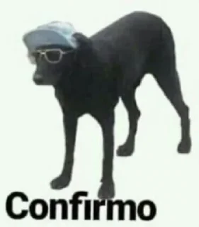 🐶 emoji echadera de broma Telegram sticker 18 of 111