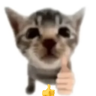 🐱 hooves art rule😸 @MINALESO, sticker Telegram 21 sur 120