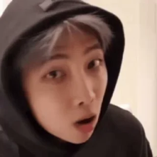 🐨 rm @impureza, sticker Telegram 8 sur 27