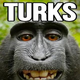 🇹🇷 ⚡︎⚡︎, sticker Telegram 9 sur 19