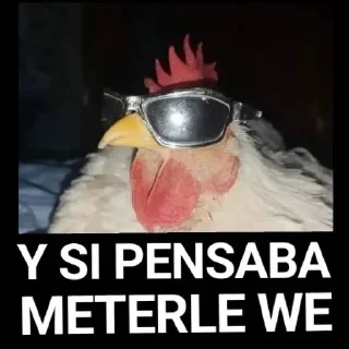 🐔 The New Era, Telegram sticker 9 of 15