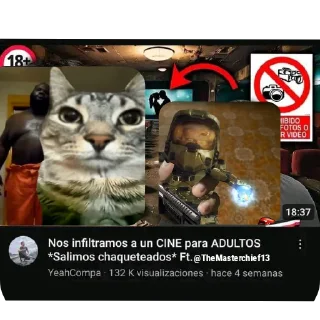 😎 Chetito  卍la última orden卍, стикер Telegram 7 из 18