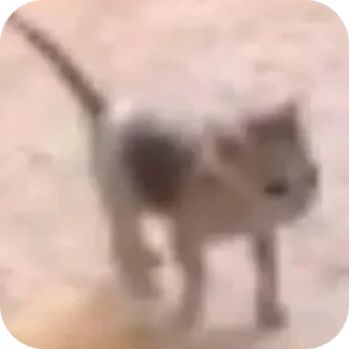 🤲 Chetito  卍la última orden卍, стикер Telegram 12 из 18