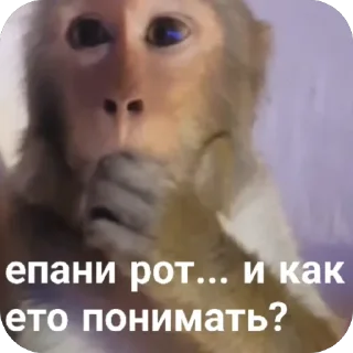 🫥 йой, Telegram sticker 19 of 73