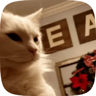 👍 Renata's Pack, стікер Telegram 24 з 32