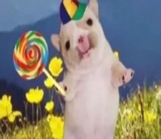 Coito