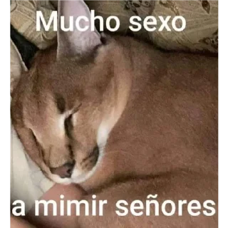 😴 Lo que sea xd La Venganza, Telegram sticker 24 of 120