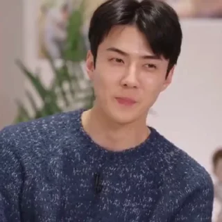 😬 Sehun • @mstypc, sticker Telegram 16 sur 37