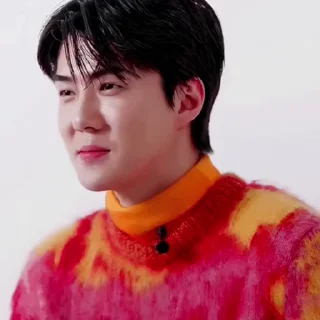 🫤 Sehun • @mstypc, sticker Telegram 11 sur 37