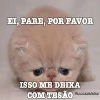 😿 So much @lbrabo, Telegram sticker 8 of 40