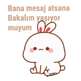 😉 ㅤㅤ≼ 🌻🐣 ≽ ✨🔐𝑆𝑖𝑡𝑎𝑟𝑒⚕️👑, Telegram sticker 18 of 60