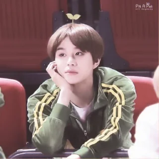JUNGWOO 🌷 — @BBUNYVIBES