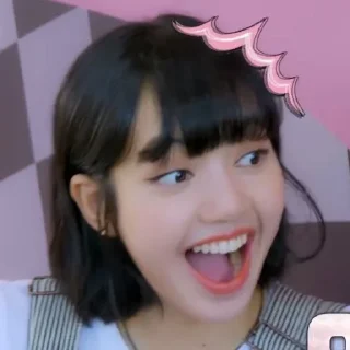 😃 Lisa @stikermemerolepidol, Telegram sticker 13 of 20