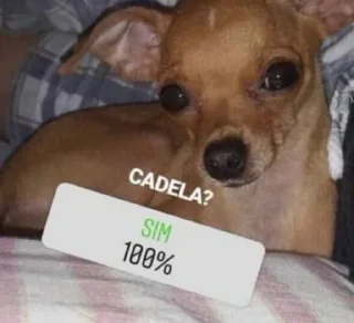 🐶 ei, sticker Telegram 24 sur 68