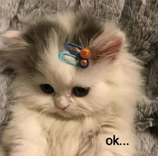 😕 ei, sticker Telegram 21 sur 68