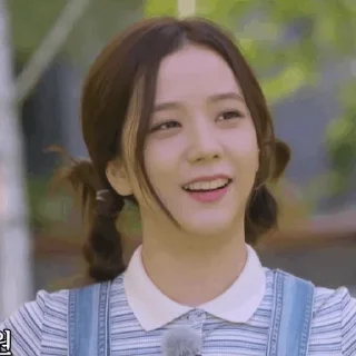 🪁 Jisoo༆ @BlackpinkStickers, стикер Telegram 22 из 35