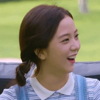 🪁 Jisoo༆ @BlackpinkStickers, стикер Telegram 15 из 35