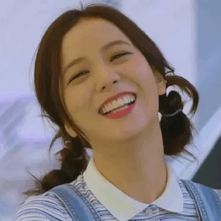 🪁 Jisoo༆ @BlackpinkStickers, стикер Telegram 6 из 35