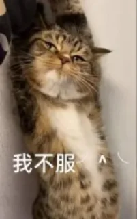 😑 双赢出品 @SY_662, стикер Telegram 18 из 44
