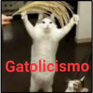 Exército de gatos