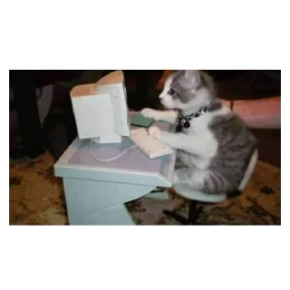 🐱 Exército de gatos, стікер Telegram 20 з 107