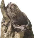 💔 pasha, Telegram sticker 24 of 69