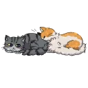 ❤ Fluffy Pussies, Telegram sticker 10 of 30