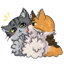 Fluffy Pussies
