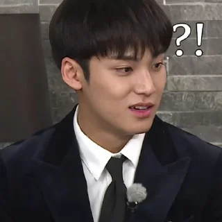 Mingyu @stikersvt