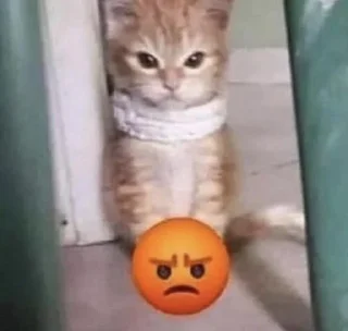 Kitty emotes