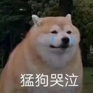 😀 我喜欢的表情贴纸 @triswary, sticker Telegram 4 sur 29