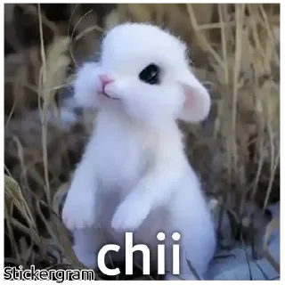Mine