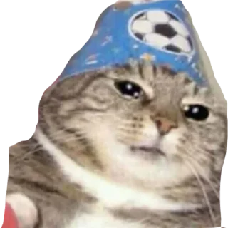 ☹ Mili, sticker Telegram 11 sur 21