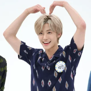 🤓 alaska as jaemin｡, стикер Telegram 15 из 25