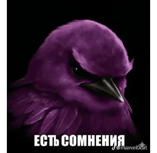 🌟 BIRDS SWAG @fsticr <- канал, sticker Telegram 9 sur 117