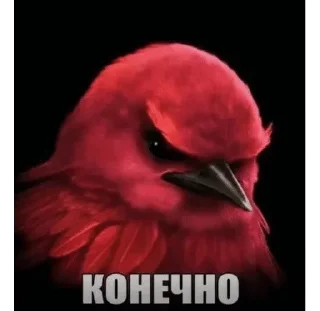 🌟 BIRDS SWAG @fsticr <- канал, sticker Telegram 17 sur 117