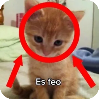 🐱 Gatos de chetito, Telegram sticker 15 of 120