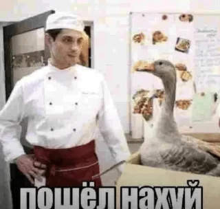 🌟 Random bullshit ДВА2 (@ChainsOfDomination), Telegram sticker 21 of 120